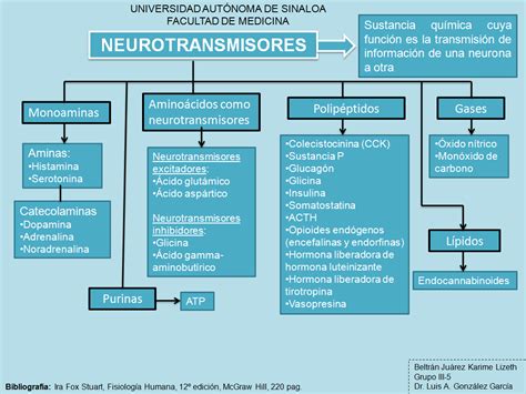 Fisiología Médica Sinapsis Y Neurotransmisores