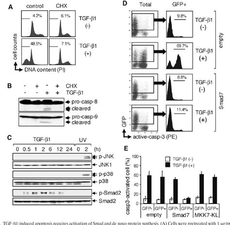 Figure 2 From Transforming Growth Factor Dependent Sequential