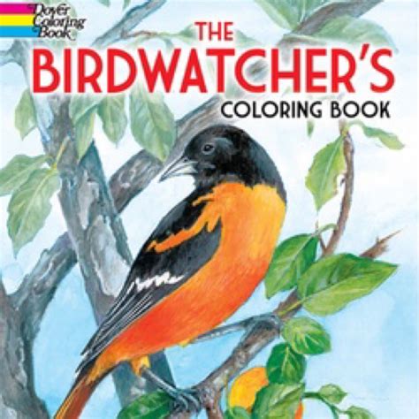 Book - Bird Watchers coloring | The Raptor Trust