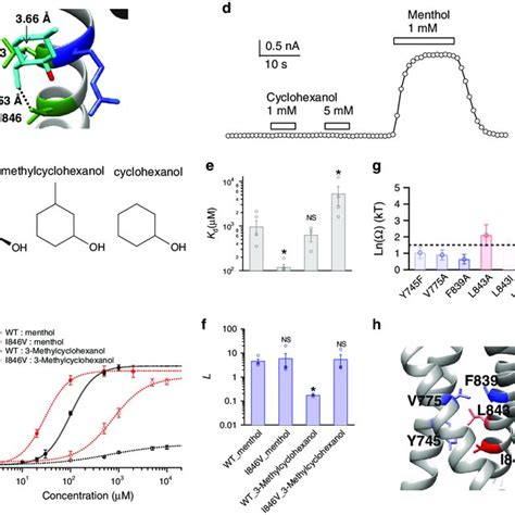 Potential Mentholtrpm8 Interactions Revealed By Docking A The Chemical