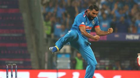 Latestcricket World Cup 2023 Fans Prediction Of Mohammed Shami Taking