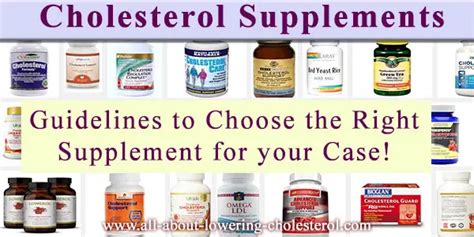 Cholesterol Lowering Supplements