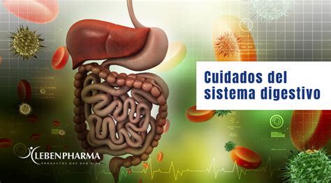 Cuidados Del Sistema Digestivo Lebenpharma