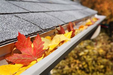 7 Essential Summer Roof Maintenance Tips