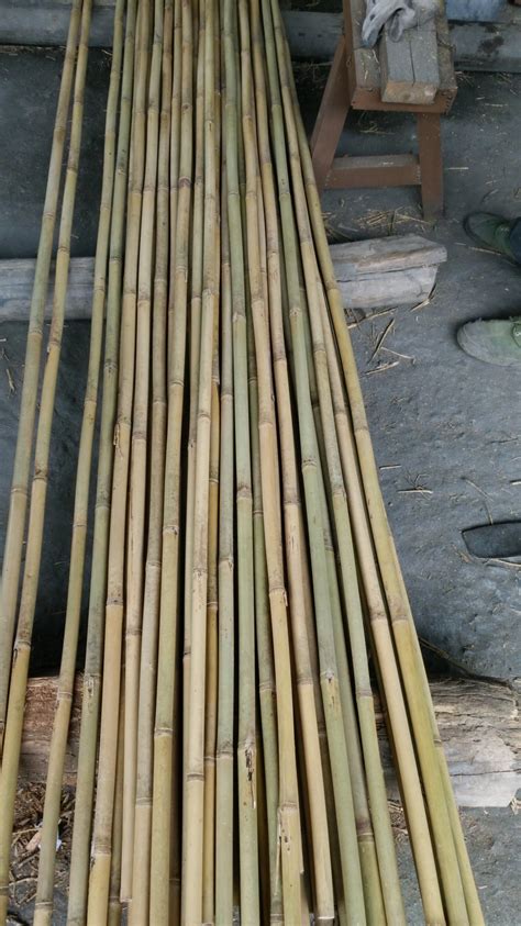 Natural Bamboo Poles Canes Stakes China Bamboo Pole And Bamboo Cane Price