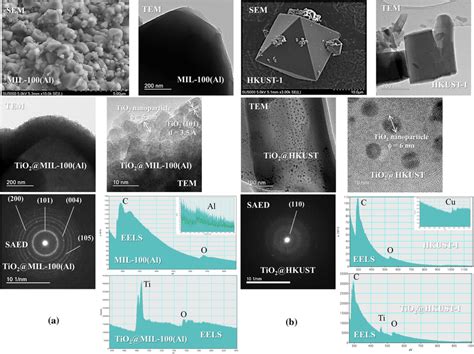 Sem Micrographs Tem Micrographs Eels Spectra And Saed Patterns