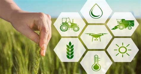 Top Ten Career Opportunities In The Field Of Agriculture Sciences