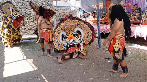 Dimakan Barongan Ngamuk Cahyo Utomo Di Kedondong YouTube