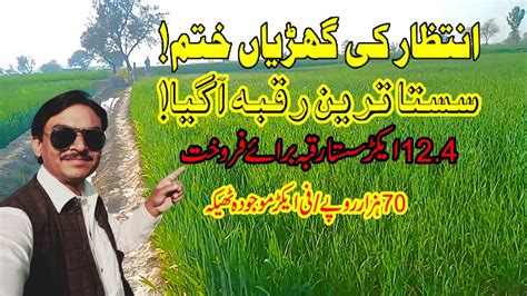 12 4 ACRE ZARI RAQBA Agriculture Land For Sale In Punjab Pakistan YouTube