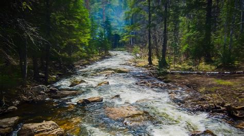 Free fotobanka krajina strom voda Příroda les Potok divočina