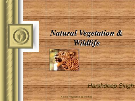 Ppt Natural Vegetation Wildlife Powerpoint Presentation Free