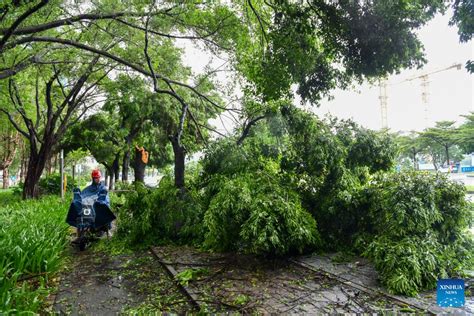 Typhoon Saola Makes Landfall In South Chinas Guangdong Xinhua