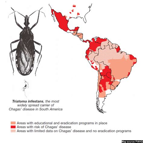 Chagas Disease: What is it and why should you care? | IAMAT