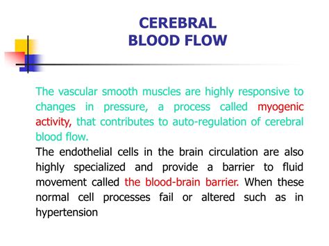 Ppt Autoregulationof Cerebral Blood Flow Powerpoint Presentation