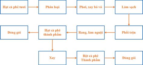 Quy trình sản xuất cà phê