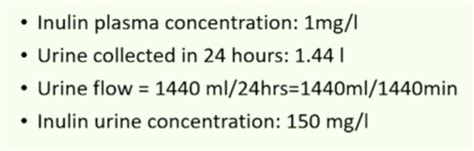 Lecture 3: Measuring GFR Flashcards | Quizlet