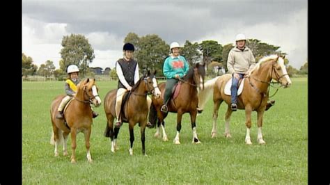 Welsh Mountain Ponies And Cobs Road Test Welsh Pony And Cobs Kids Pony