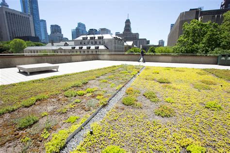 Green Roof At Toronto City Hall Is A Hidden Downtown Escape