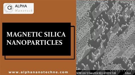 PPT Magnetic Silica Nanoparticles PowerPoint Presentation Free