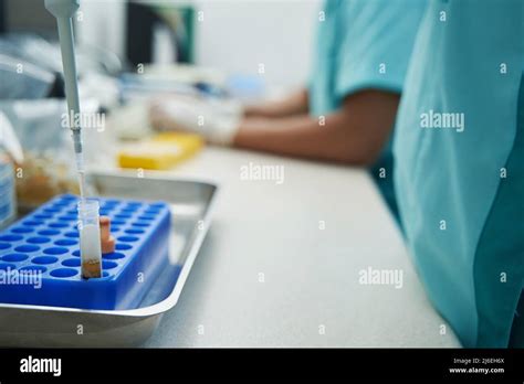 People Working With Blood Tests In Laboratory Stock Photo Alamy