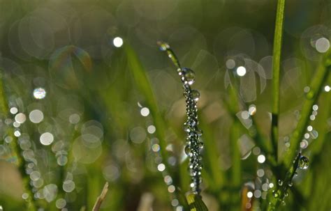 Baggrunde Sollys Vand Natur Mark Fotografering Afdeling Gr N