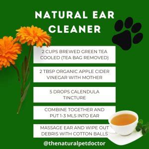 Home Remedies: Tea Tree Oil for Dog Ear Infection - Dog Show TV