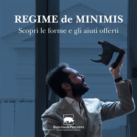 Regime De Minimis Come Funziona E Come Accedervi