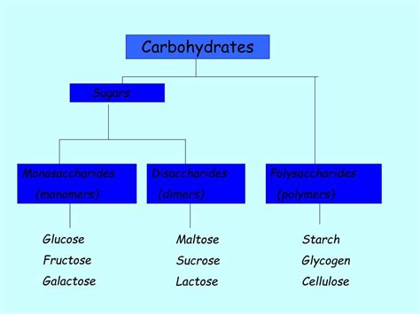 Ppt Carbohydrates Powerpoint Presentation Free Download Id2560890