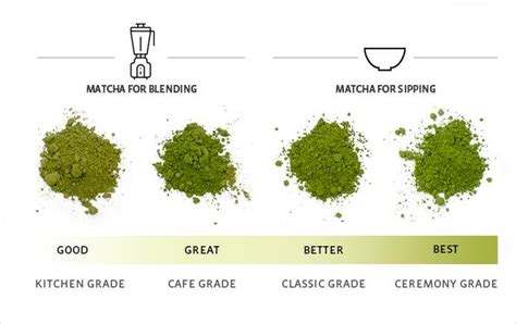 What Is Matcha Matecha Green Tea