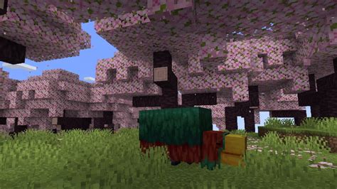 Minecraft Flor De Cerezo Bioma Descubrir Este Nuevo Bioma De La Actualización 1 20 Minecraft