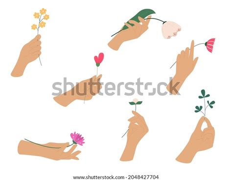 Collection Hands Holding Flowers Various Hand Stock Vector Royalty