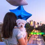 110 Bridge Overpass Downtown Los Angeles Skyline View At Dusk Le Wild