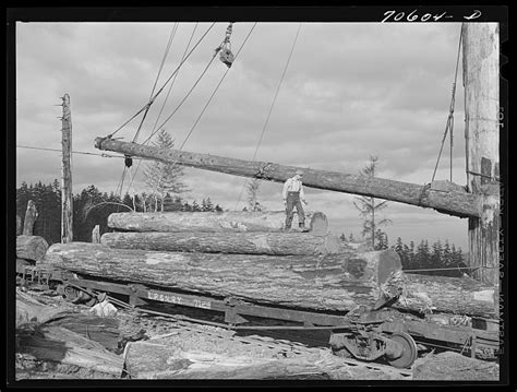 Long Bell Lumber Company Cowlitz County Washington Fir Logs Loaded