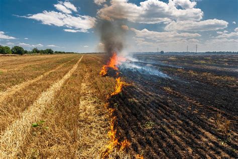 Por qué no son buenas las quemas agrícolas Cultiva Futuro