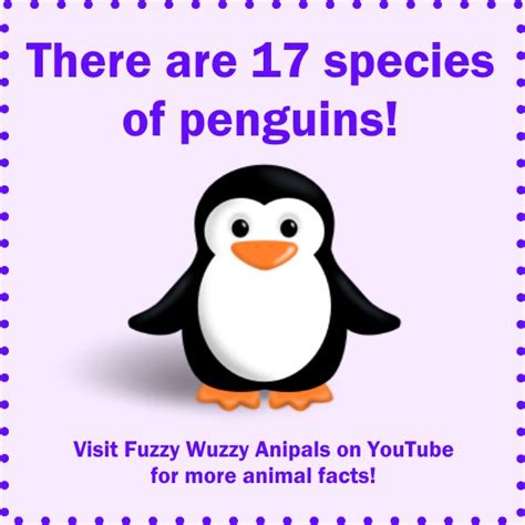 Best 25+ Penguin facts ideas on Pinterest | Report writing format ...