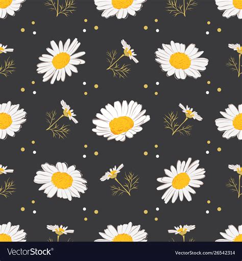 Daisy Seamless Pattern Chamomile Background Vector Image