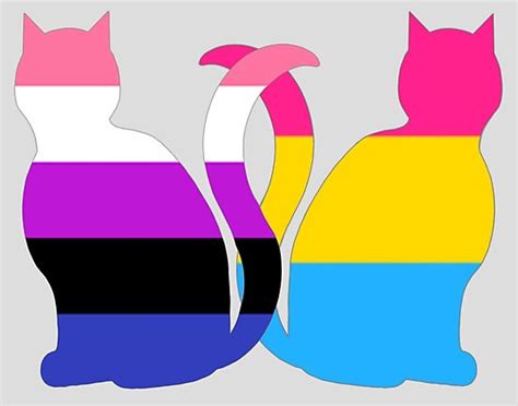 Genderfluid Pansexual Pride Cats Photographic Print By Shaneisadragon