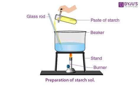 Starch - Definition, Formula, Uses, & Facts with Examples