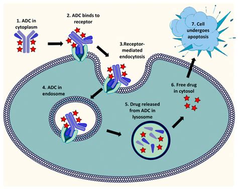 Molecules | Special Issue : Tubulin Inhibitors