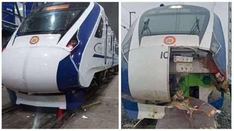 Vande Bharat Express Accident मुंबई से गांधीनगर जा रही वंदे भारत