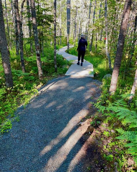 Nine Mile River Trail - A Great Walk in the Woods - The Maritime Explorer