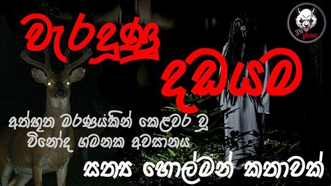 වැරදුණු දඩයම | Holman katha | @3N Ghost | Sinhala holman katha | ghost ...