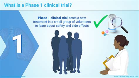 Slide Show Understanding Clinical Trials In Lung Cancer