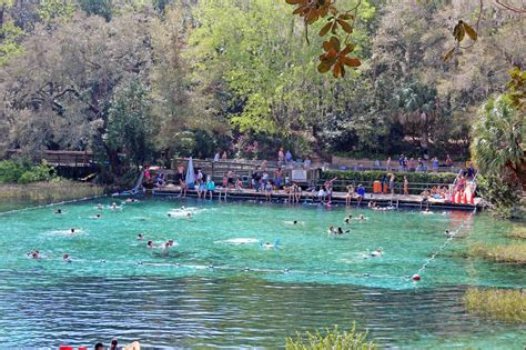 Rainbow Springs State Park Dunnellon Florida Warm Pool