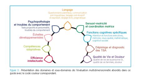 Guide De L Valuation Fonctionnelle Multidimensionnelle Dans La