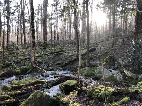 Camp view from the Smokies : r/camping