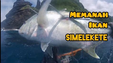 Memanah Ikan Nelayan Lombok Spearfishing Indonesia Spearfishing