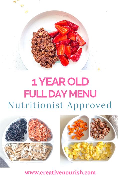 Pin On 1 Year Old Meals