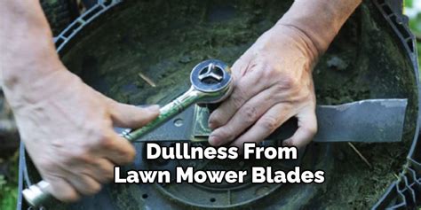 How To Sharpen Lawn Mower Blades Without Removing Easy Guide