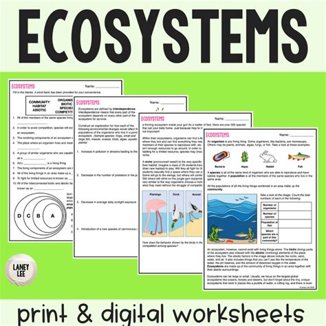 Biomes Habitats And Ecosystems Worksheet Printable And Worksheets Library